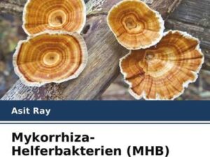 Mykorrhiza-Helferbakterien (MHB)