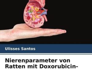 Nierenparameter von Ratten mit Doxorubicin-induzierter Nephropathie