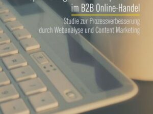 Optimierung des Verkaufsprozesses im B2B Online-Handel: Studie zur Prozessverbesserung durch Webanalyse und Content Marketing