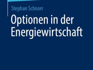 Optionen in der Energiewirtschaft