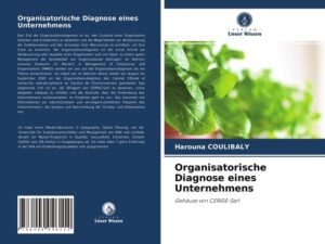 Organisatorische Diagnose eines Unternehmens