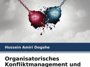 Organisatorisches Konfliktmanagement und entsprechende Strategien