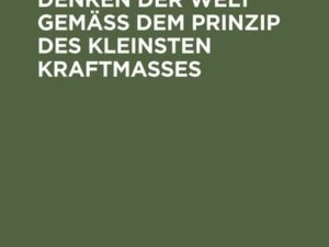 Philosophie als Denken der Welt gemäß dem Prinzip des kleinsten Kraftmaßes