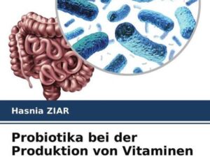 Probiotika bei der Produktion von Vitaminen der Gruppe B.