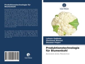 Produktionstechnologie für Blumenkohl