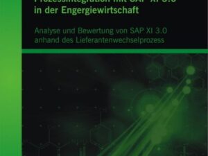 Prozessintegration mit SAP XI 3.0 in der Engergiewirtschaft: Analyse und Bewertung von SAP XI 3.0 anhand des Lieferantenwechselprozess