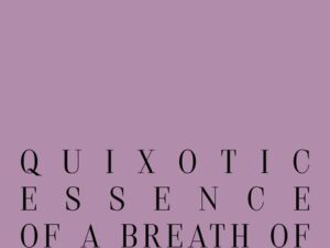 Quixotic essence of a breath of movement / 1×3