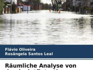 Räumliche Analyse von durch sintflutartige Regenfälle überschwemmten Stadtgebieten