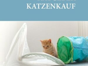 Ratgeber Katzenkauf