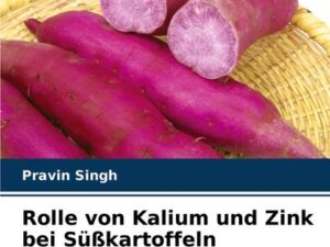 Rolle von Kalium und Zink bei Süßkartoffeln