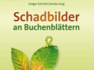 Schadbilder an Buchenblättern