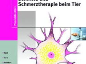 Schmerz und Schmerztherapie beim Tier