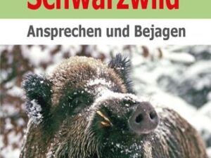 Schwarzwild