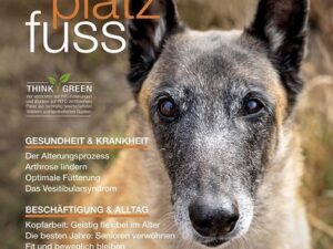 SitzPlatzFuss, Sonderausgabe VIII November 23