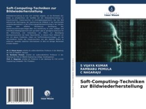 Soft-Computing-Techniken zur Bildwiederherstellung