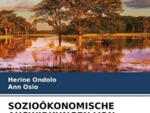 Sozioökonomische Auswirkungen von Überschwemmungen Am Victoria-See, Kenia, Kisumu