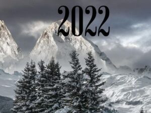 Terminplaner Jahreskalender 2022, Terminkalender DIN A5, Taschenbuch und Hardcover