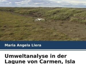 Umweltanalyse in der Lagune von Carmen, Isla Grande Tierra del Fuego