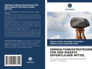 Verwaltungsstrategien für den Einsatz Öffentlicher Mittel