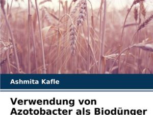 Verwendung von Azotobacter als Biodünger in Weizen