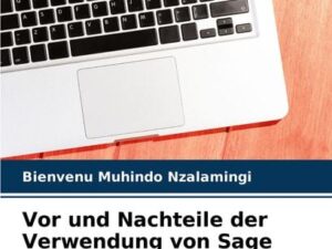 Vor und Nachteile der Verwendung von Sage Software