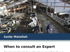 When to consult an Expert