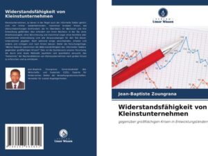 Widerstandsfähigkeit von Kleinstunternehmen