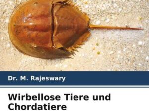 Wirbellose Tiere und Chordatiere