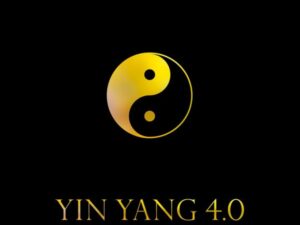 YIN YANG 4.0 - Perspektivenwechsel