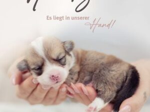 Hundezucht. Leitfaden für verantwortungsvolle Züchter